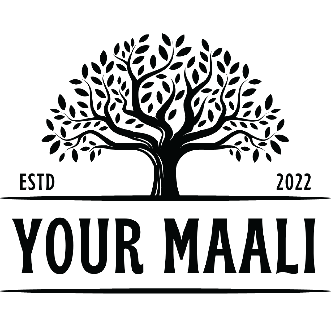 logo1