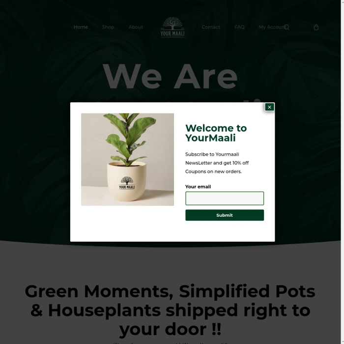 Green moments - pots & houseplants delivered to your door. Simplified and hassle-free gardening experience.